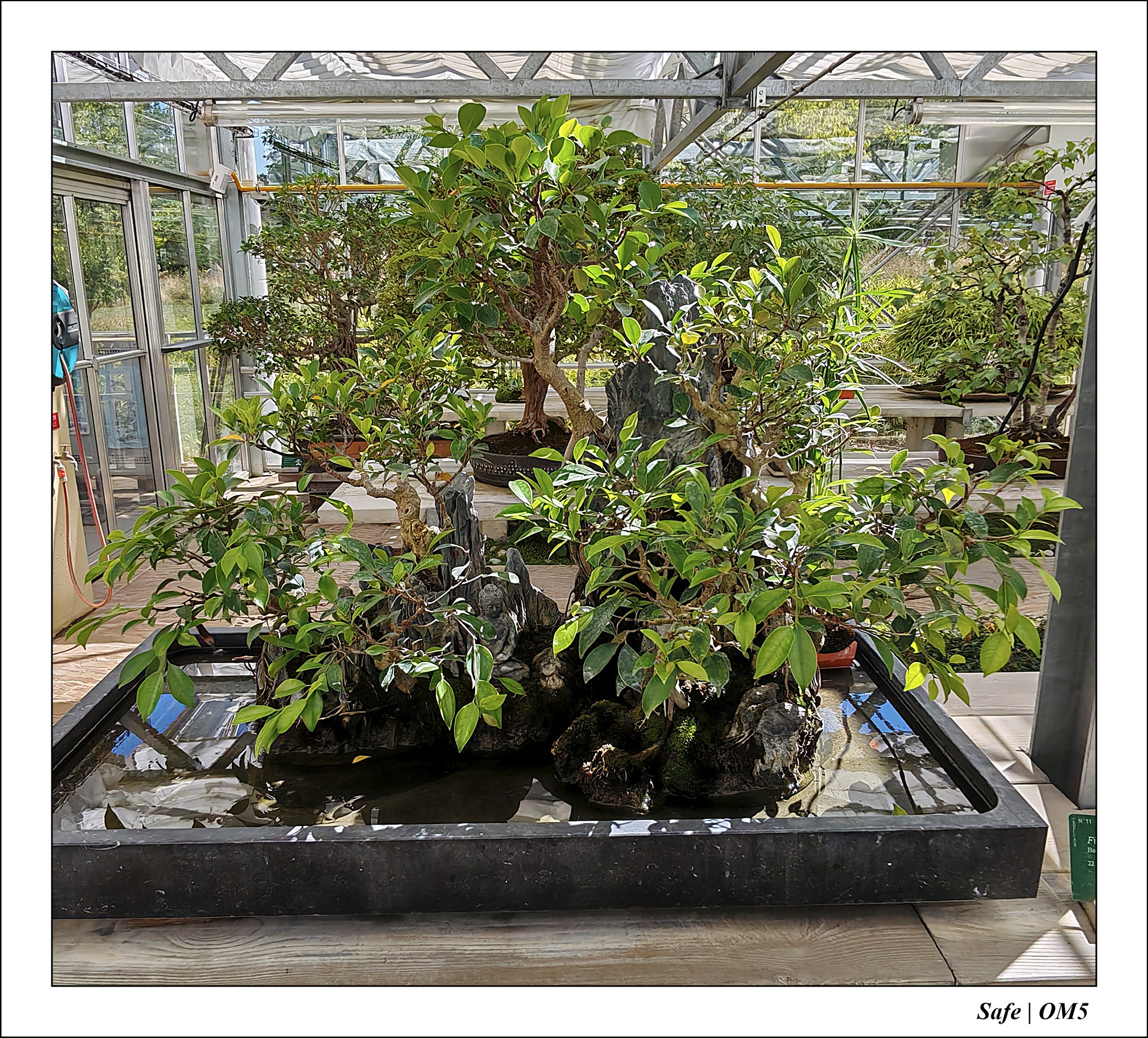 2025 - 08 - Vallée des loups - 15